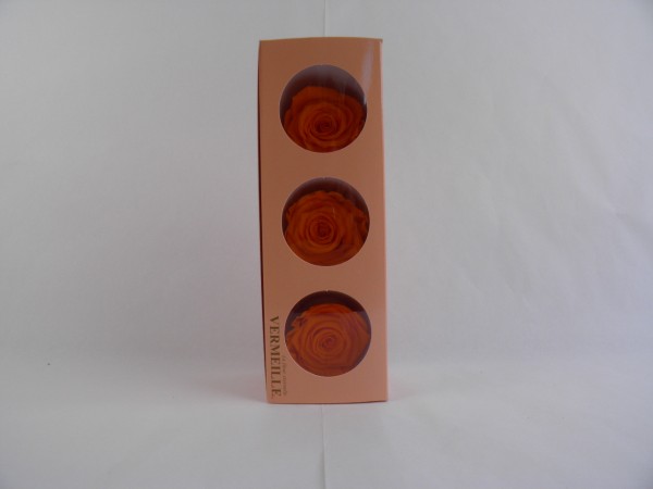 Gefrier Rose Orange